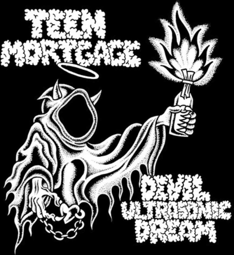 Teen Mortgage Devil Ultrasonic Dream LP/Vinyl