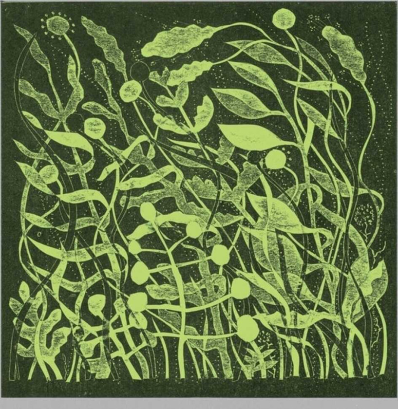 Kirk Barley Lux LP/Vinyl