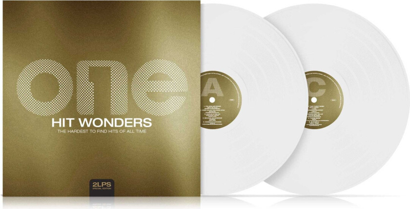 Diverse Artister One Hit Wonders LP/Vinyl