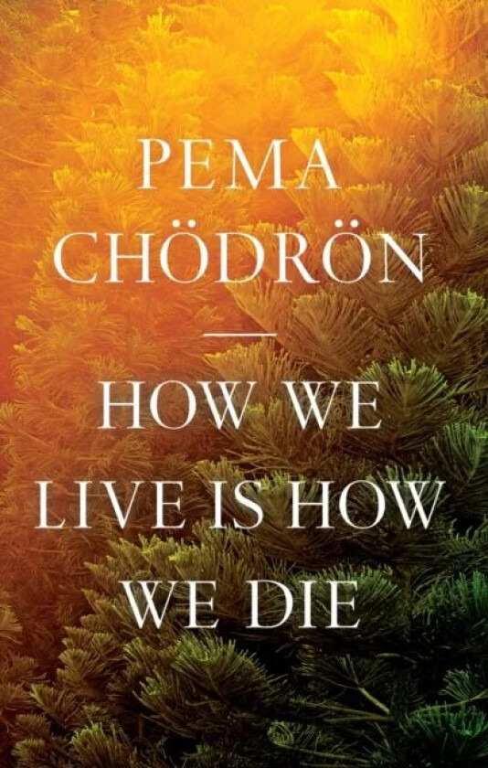 How We Live Is How We Die av Pema Chödrön