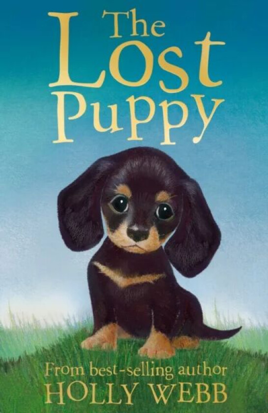 The Lost Puppy av Holly Webb