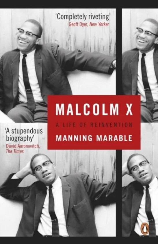Malcolm X av Manning Marable