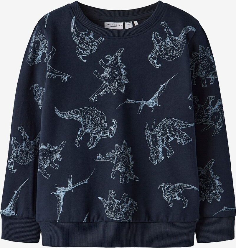 Collegegenser NmmVaron LS Aop Swt Unb - Blå