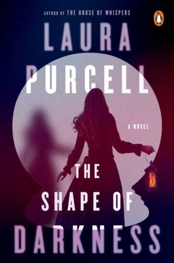 The Shape of Darkness A Novel