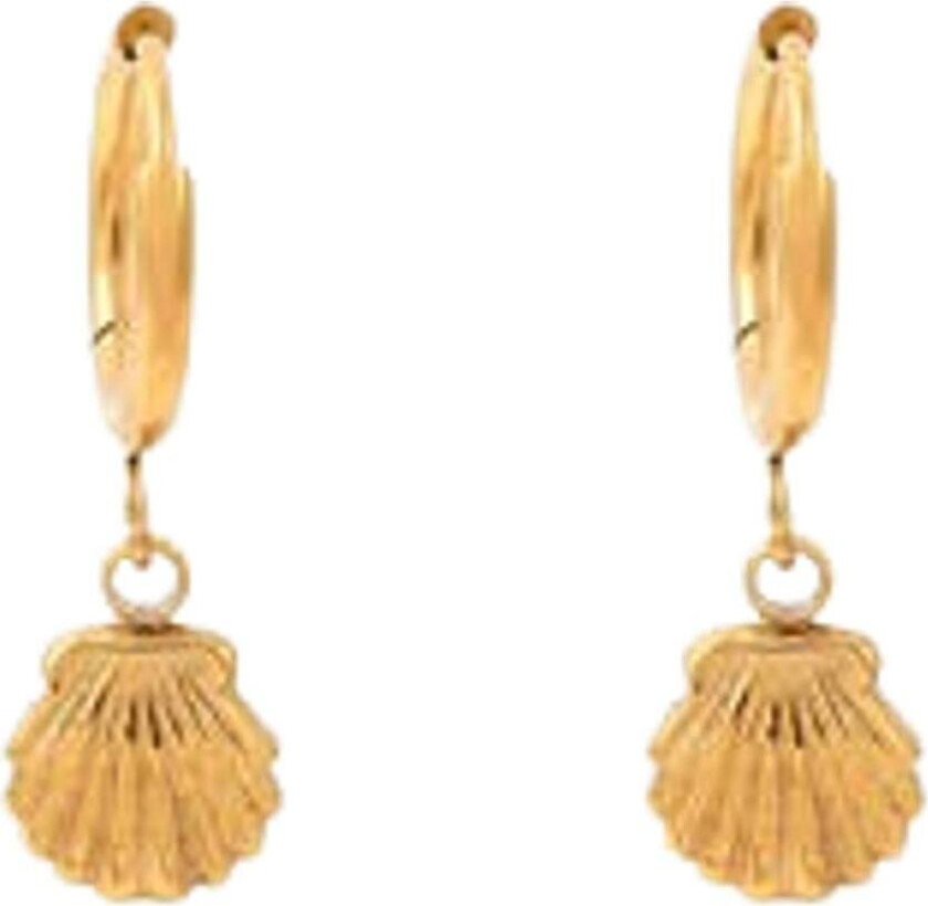 Ane Seashell Hoop Earrings