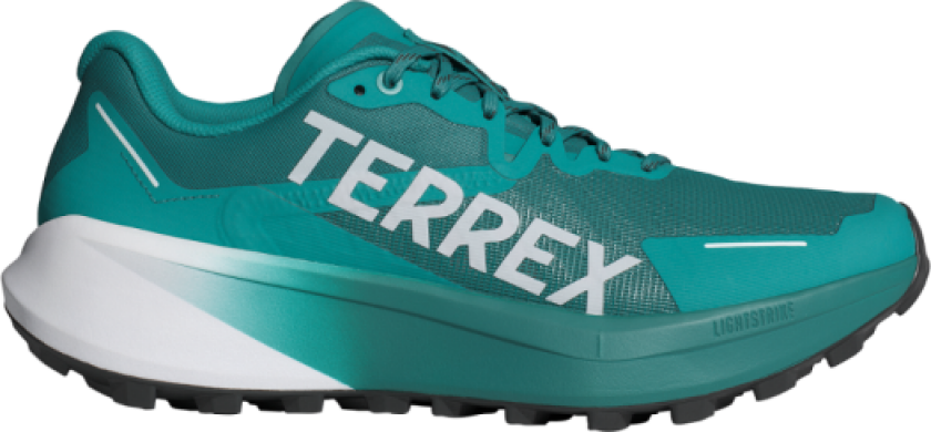 Terrex Agravic 3