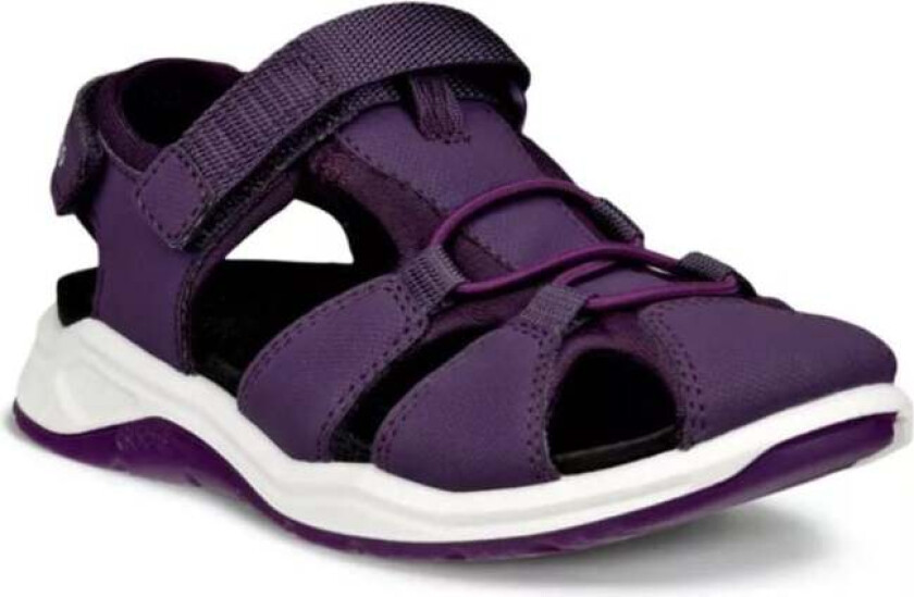 X-Trinsic K Fisherman Sandal