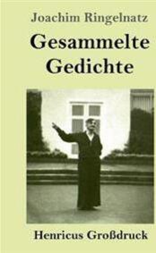 Gesammelte Gedichte (Großdruck)