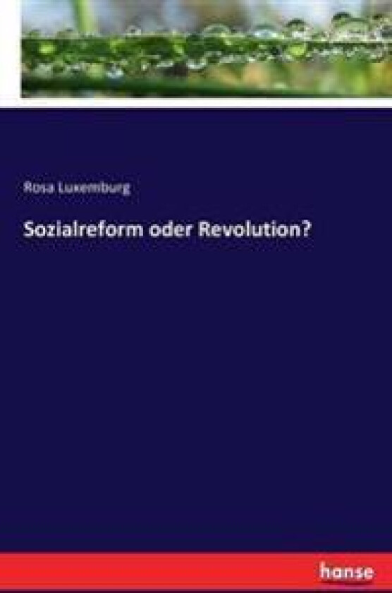 Sozialreform oder Revolution?