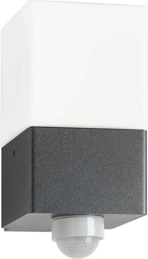 Linus utendørs vegglampe, grafitt, sensor, rustfritt stål, glass, E27