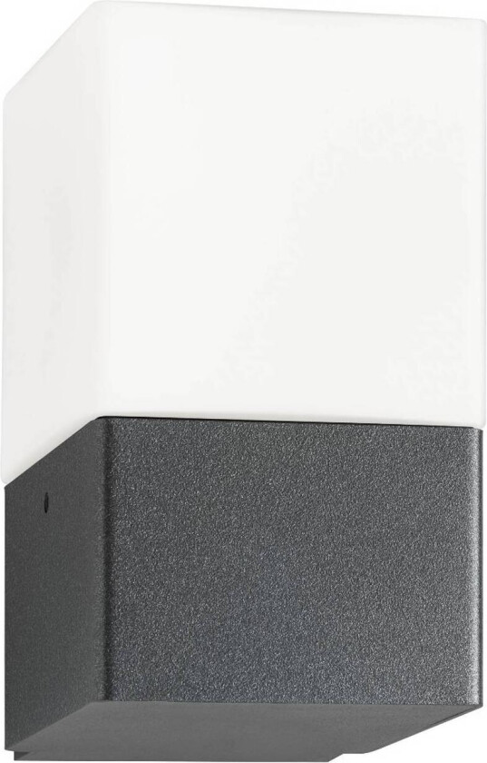 Linus utendørs vegglampe, grafitt, rustfritt stål, opalt glass, E27