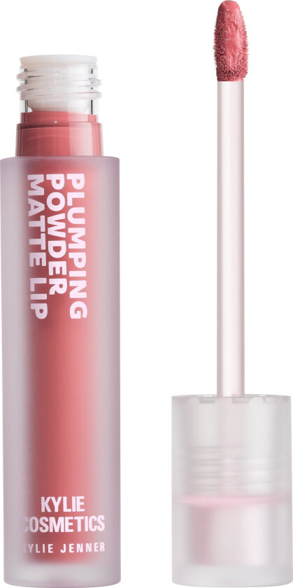 Plumping Powder Matte Lip - 358 Girl's Girl