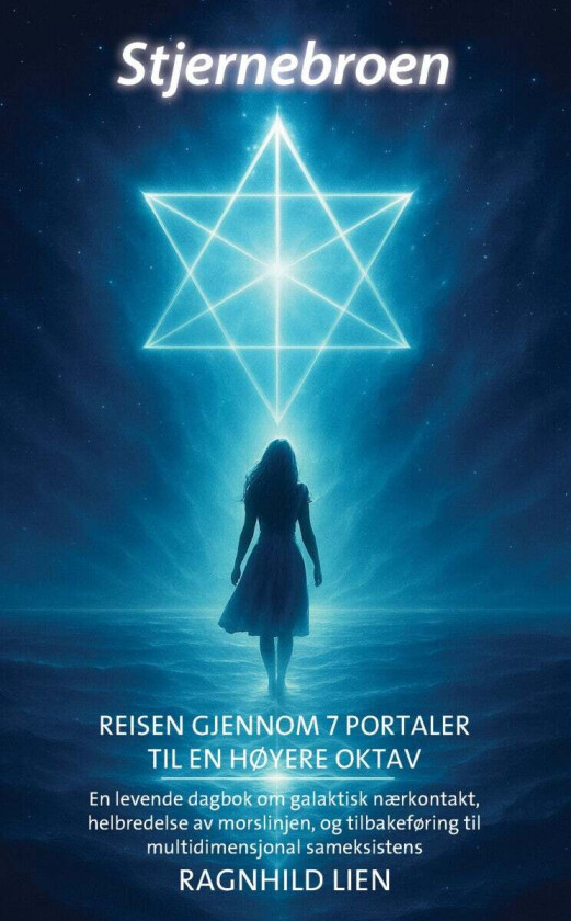 Stjernebroen av Ragnhild Lien