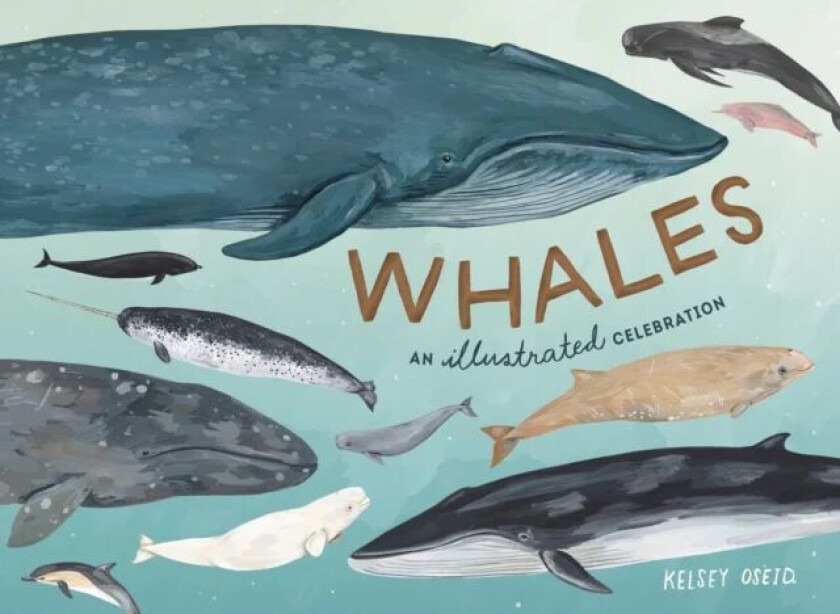 Whales av Kelsey Oseid