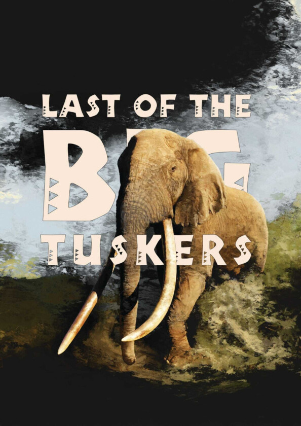 Last Of The Big Tuskers (2018) DVD