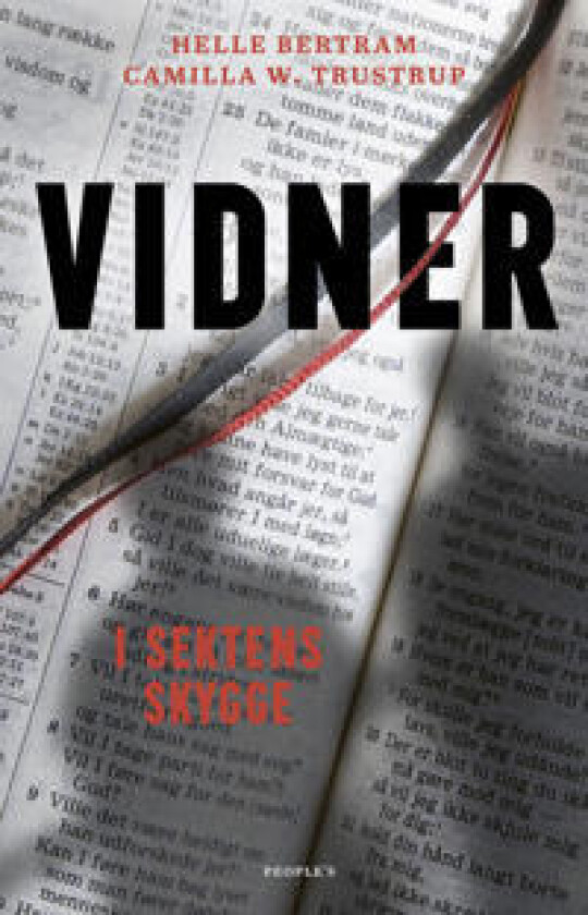 Vidner - i sektens skygge