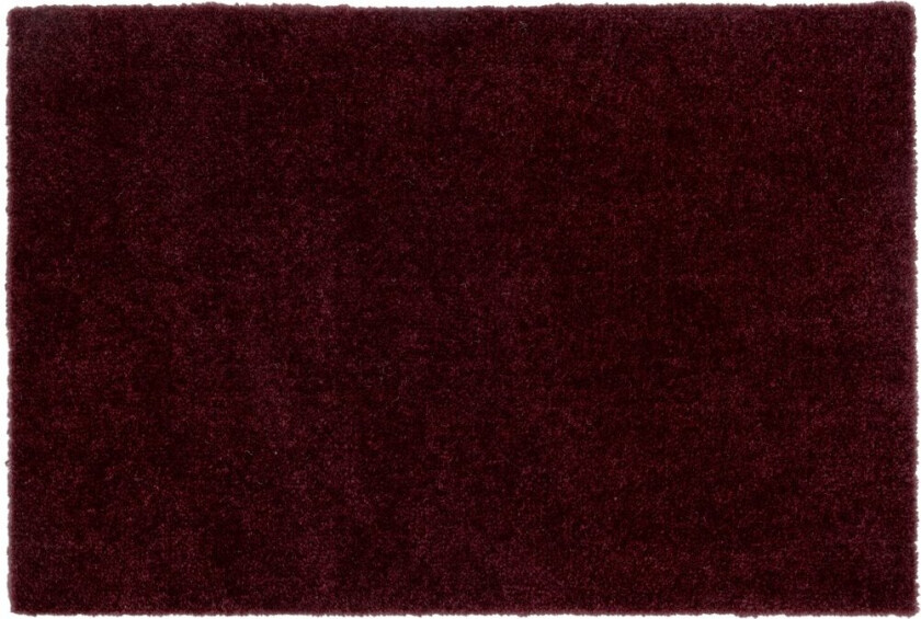 Unicolor dørmatte Bordeaux, 40x60 cm
