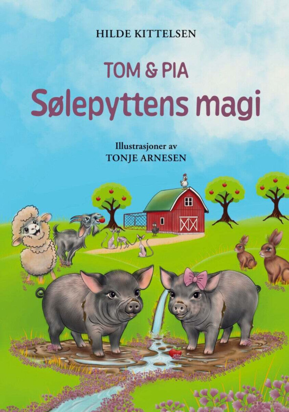 Sølepyttens magi av Hilde Kittelsen