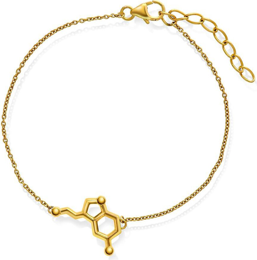 Armbånd i 925 forgylt sølv med symbol serotonin