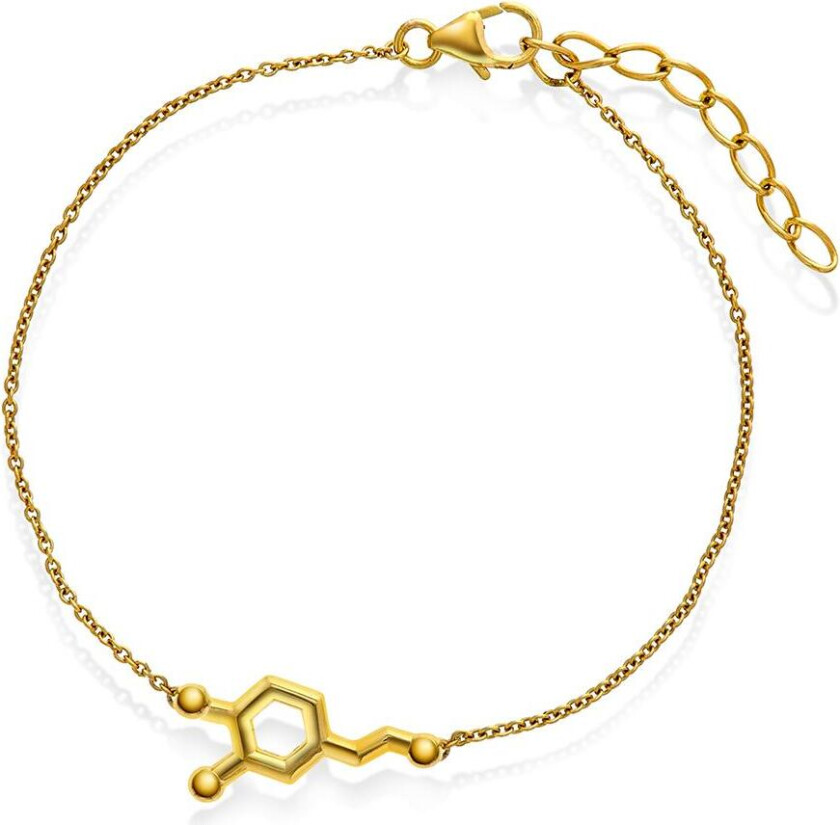 Armbånd i 925 forgylt sølv med symbol dopamin