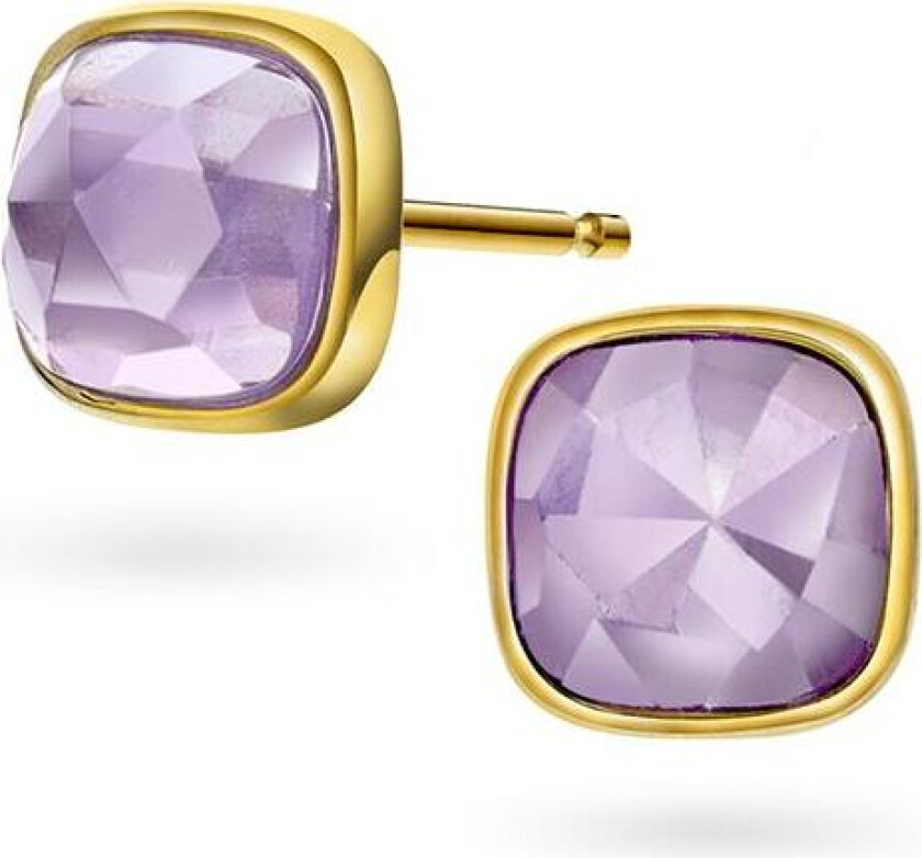 Øredobber i 925 forgylt sølv med ametyst