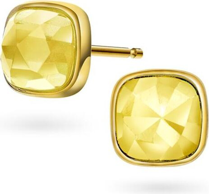 Øredobber i 925 forgylt sølv med Citrin