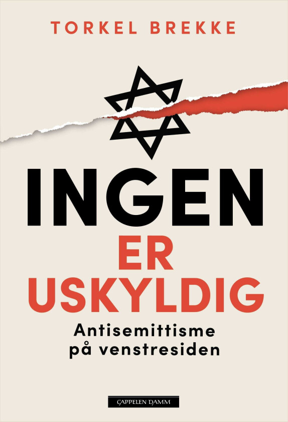 Ingen er uskyldig antisemittisme på venstresiden