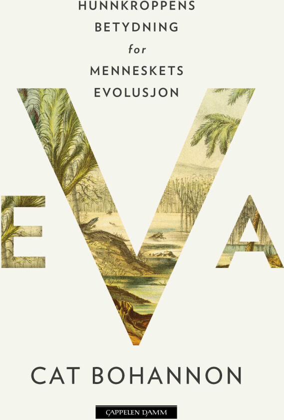 Eva hunnkroppens betydning for menneskets evolusjon
