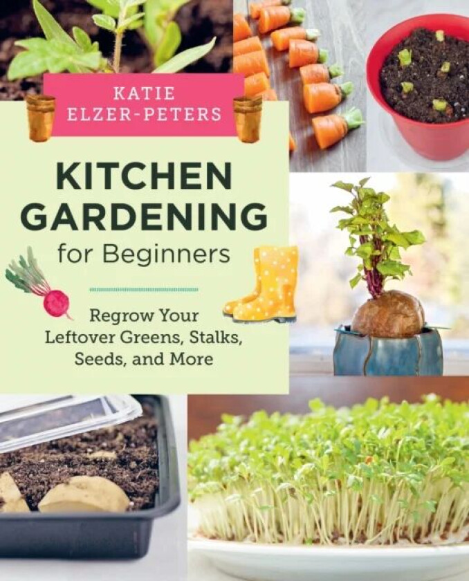 Kitchen Gardening for Beginners av Katie Elzer-Peters