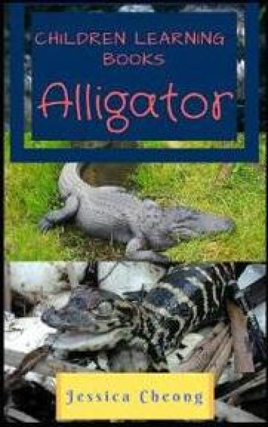 Children Learning Books - Alligator