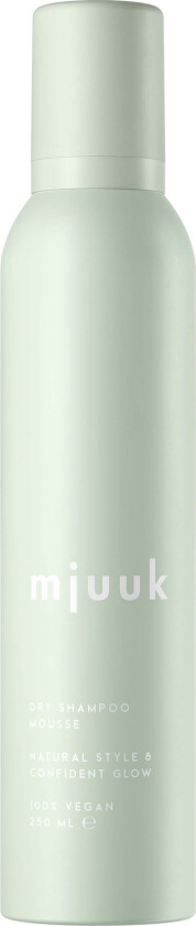 Dry Shampoo Mousse