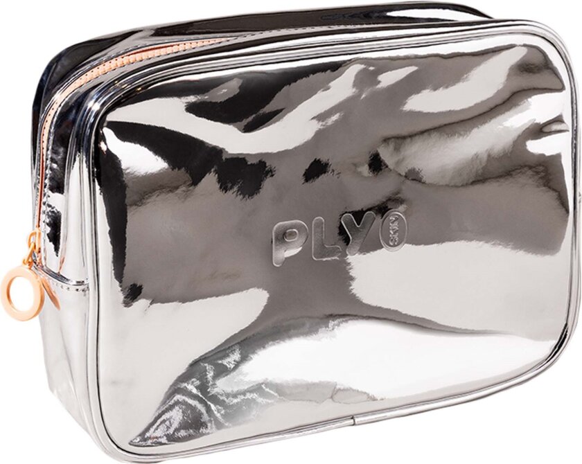 The Chrome Bag