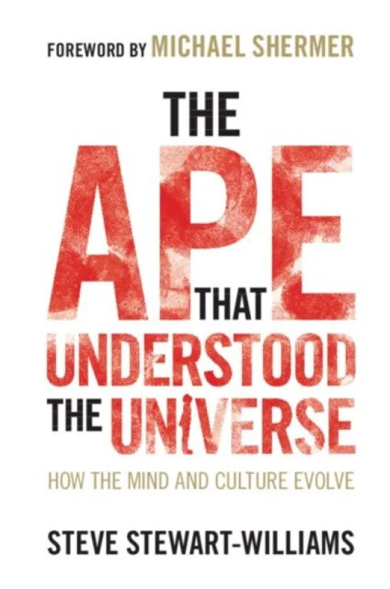 The Ape that Understood the Universe av Steve (University of Nottingham) Stewart-Williams