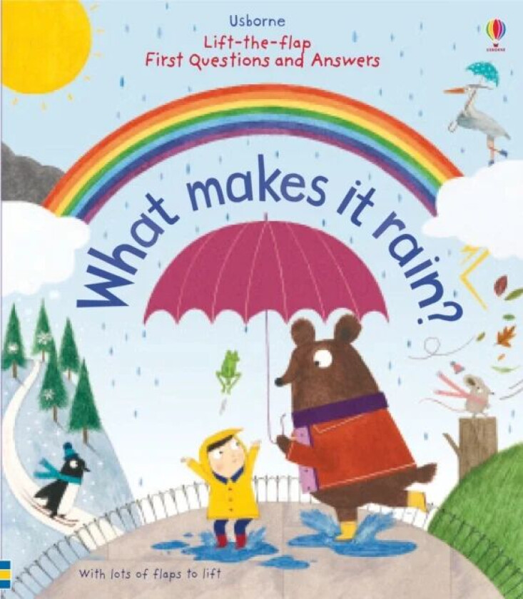 First Questions and Answers: What makes it rain? av Katie Daynes