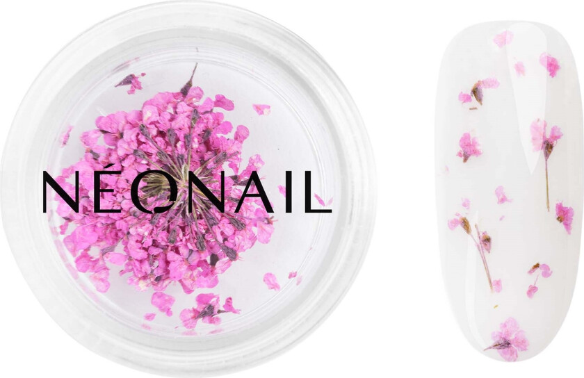 Bilde av Dried Flowers 02 - Purple