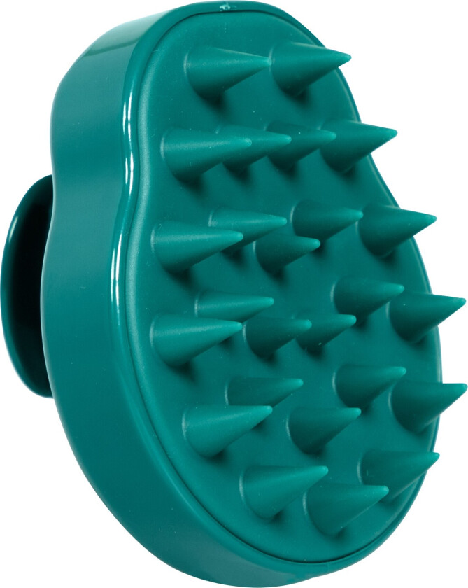 Hair Shampoo Brush