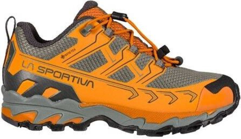 Ultra Raptor Ii Junior Gtx Maple/Clay 34