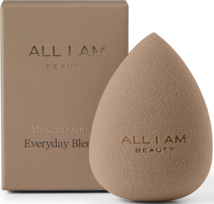 Blending Sponge