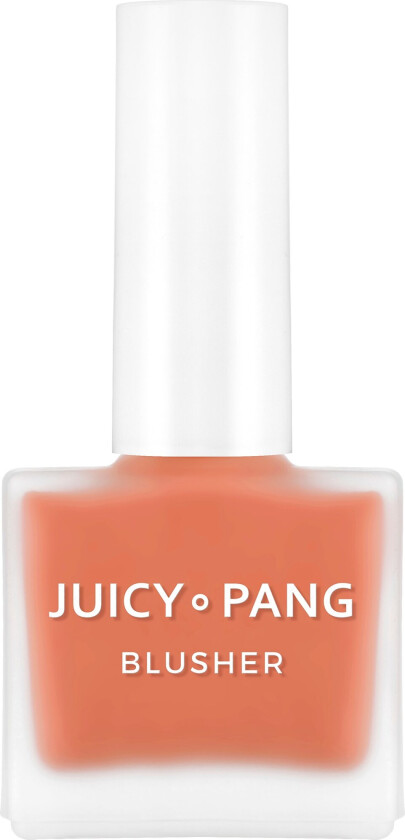Juicy-Pang Water Blusher Cr02
