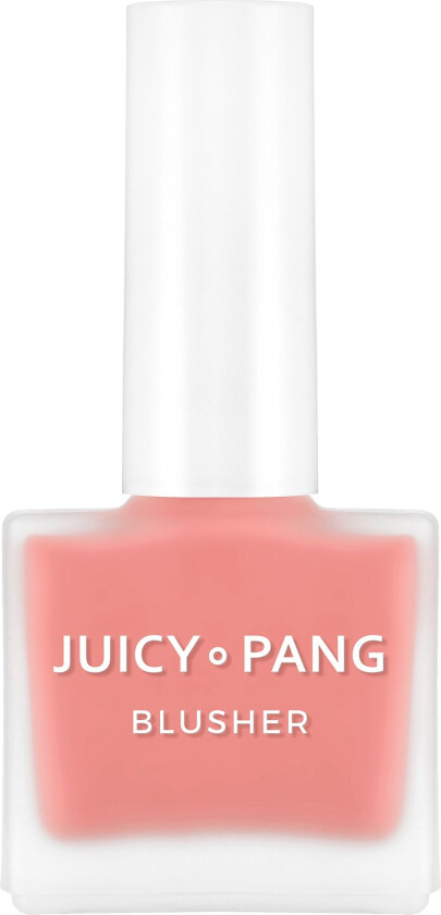 Juicy-Pang Water Blusher Pk04