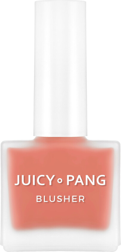 Juicy-Pang Water Blusher Cr01
