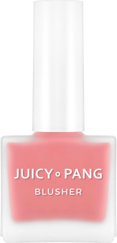 Juicy-Pang Water Blusher Pk01