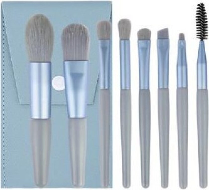 Everyday Brush Set Blue