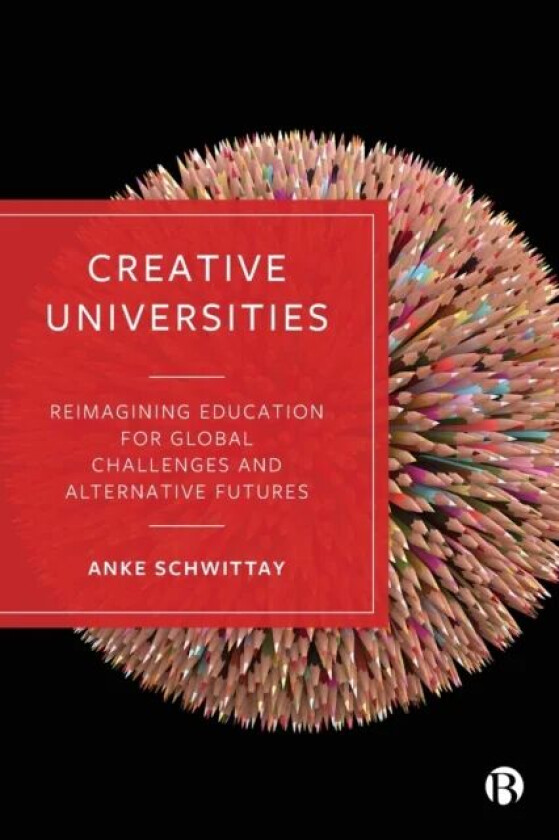 Creative Universities av Anke (University of Sussex) Schwittay
