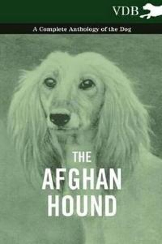 The Afghan Hound - A Complete Anthology of the Dog