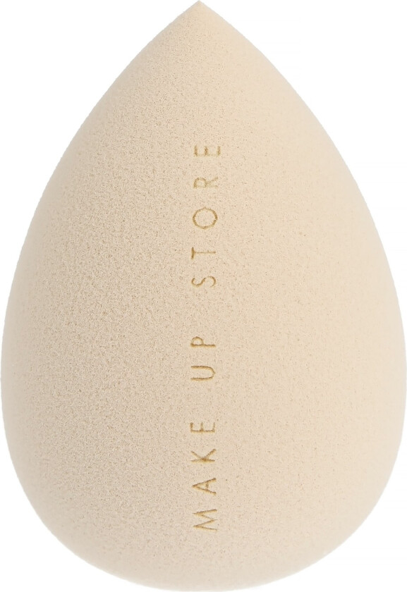 Blending Sponge N°1