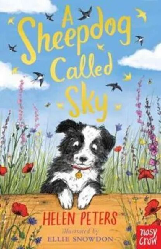 A Sheepdog Called Sky av Helen Peters