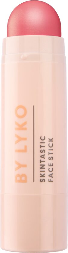Skintastic Face Stick Candygasm