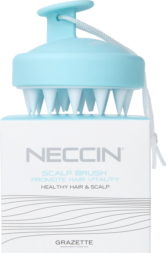 Scalp Brush