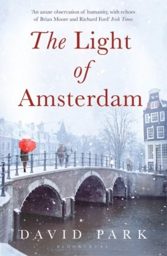The Light of Amsterdam av David Park